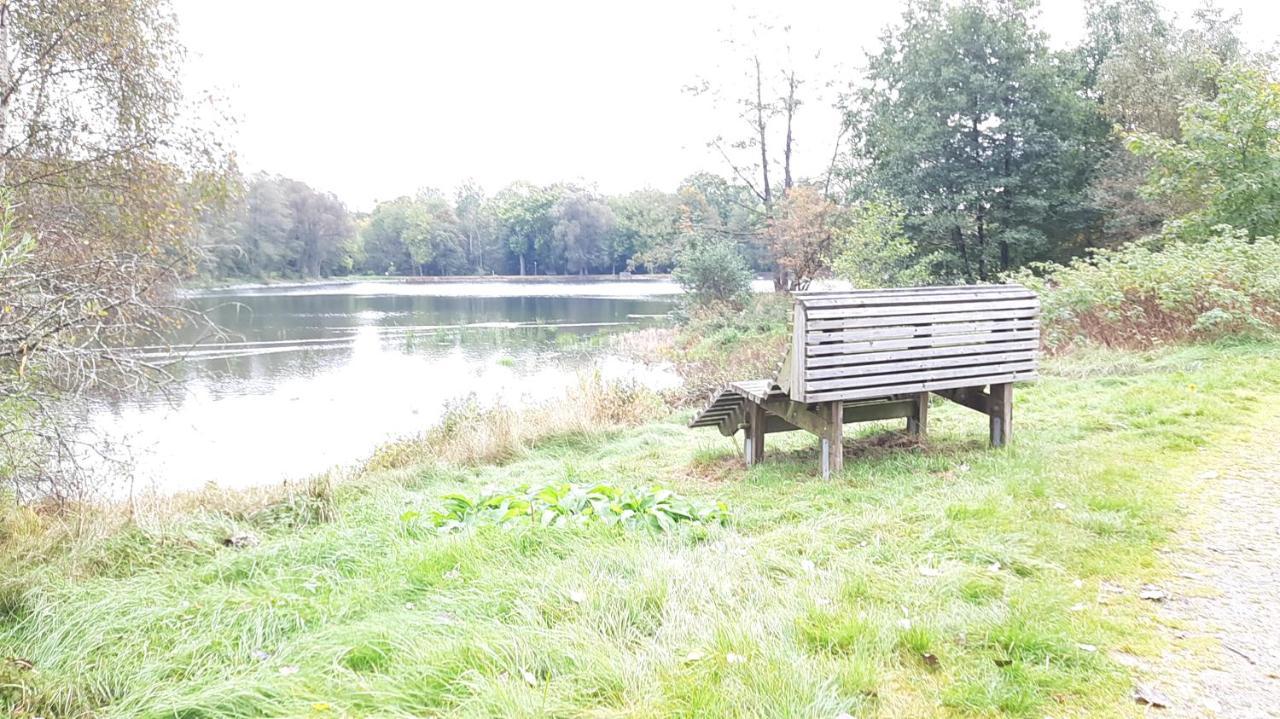 Ferienhaus Am See Lichtenberg Bayern Frankenwaldsee 빌라 외부 사진