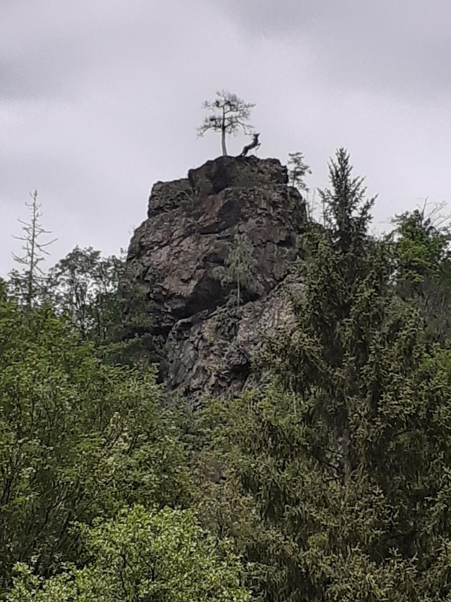 Ferienhaus Am See Lichtenberg Bayern Frankenwaldsee 빌라 외부 사진